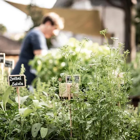 Weingut Schmid Oberrautner
