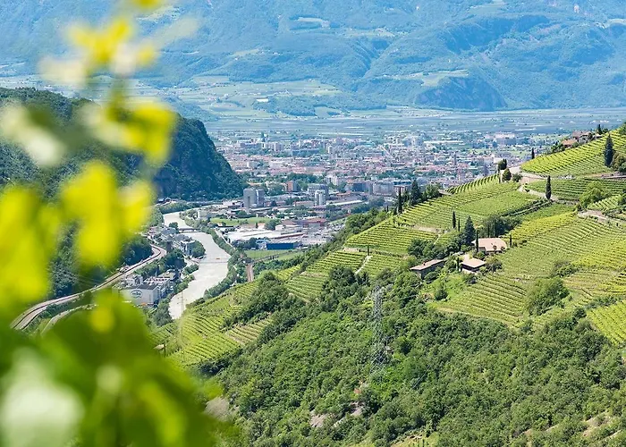 Weingut Schmid Oberrautner Apartman *