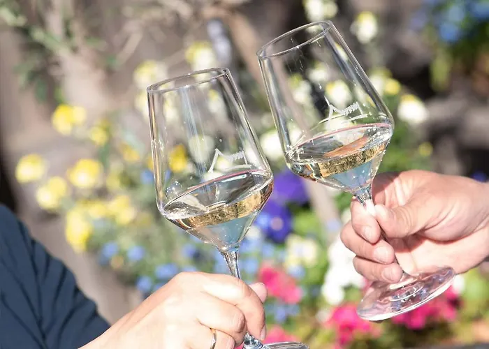 Apartman Weingut Schmid Oberrautner *