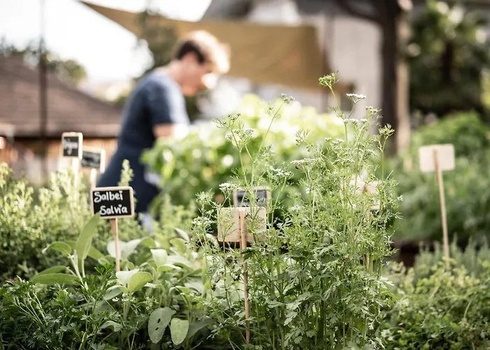 Weingut Schmid Oberrautner