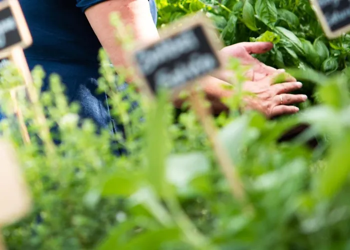 Apartman Weingut Schmid Oberrautner *
